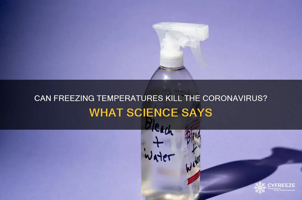 do freezing temperatures kill corona
