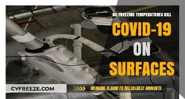 Freezing Temps and COVID-19: Surface Survival or Virus Death?