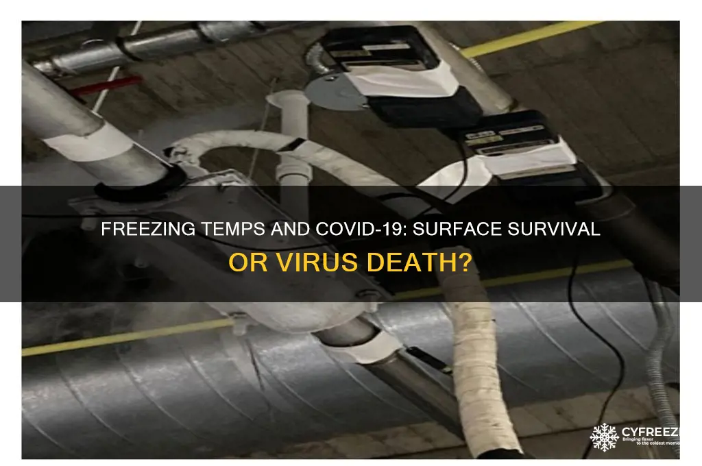 do freezing temperatures kill covid-19 on surfaces