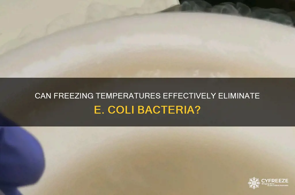 do freezing temperatures kill e coli