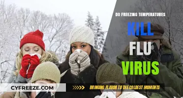 Can Freezing Temperatures Kill the Flu Virus? Facts Revealed