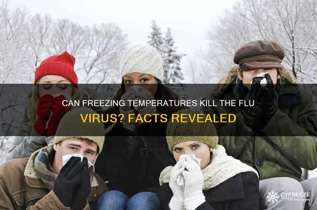 do freezing temperatures kill flu virus