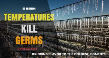 Can Freezing Temperatures Eliminate Germs? Uncovering the Cold Truth