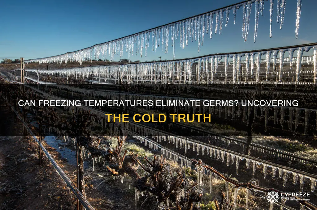 do freezing temperatures kill germs