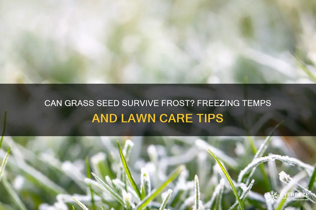 do freezing temperatures kill grass seed