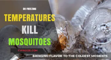 Can Freezing Temperatures Eliminate Mosquito Populations? The Cold Truth