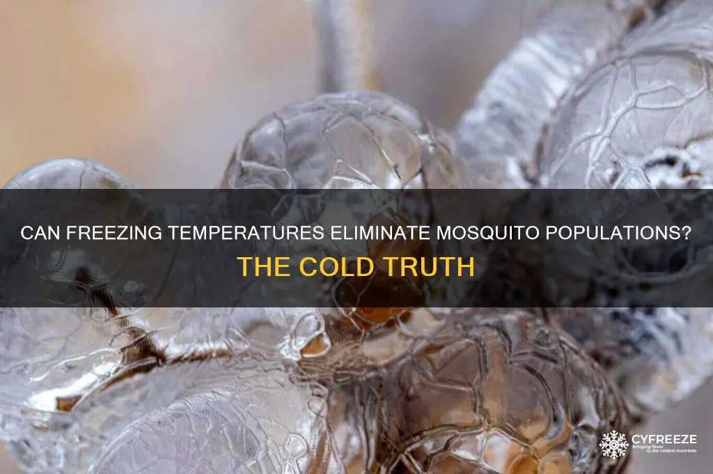 do freezing temperatures kill mosquitoes