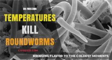 Can Freezing Temperatures Effectively Eliminate Roundworms? What Research Shows