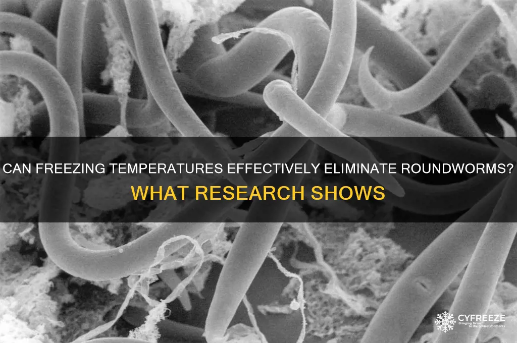 do freezing temperatures kill roundworms