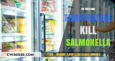 Freezing Temperatures and Salmonella: Does Cold Weather Kill the Bacteria?