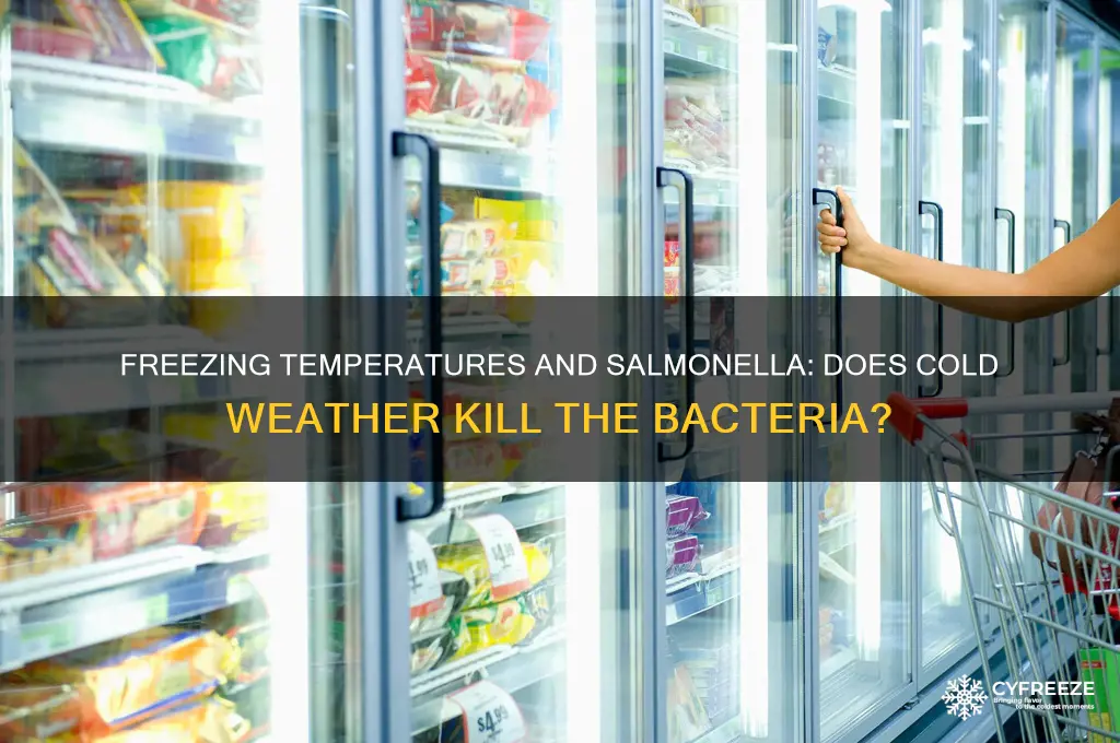 do freezing temperatures kill salmonella
