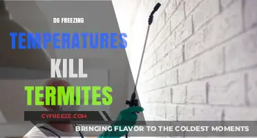 Can Freezing Temperatures Effectively Eliminate Termite Infestations?