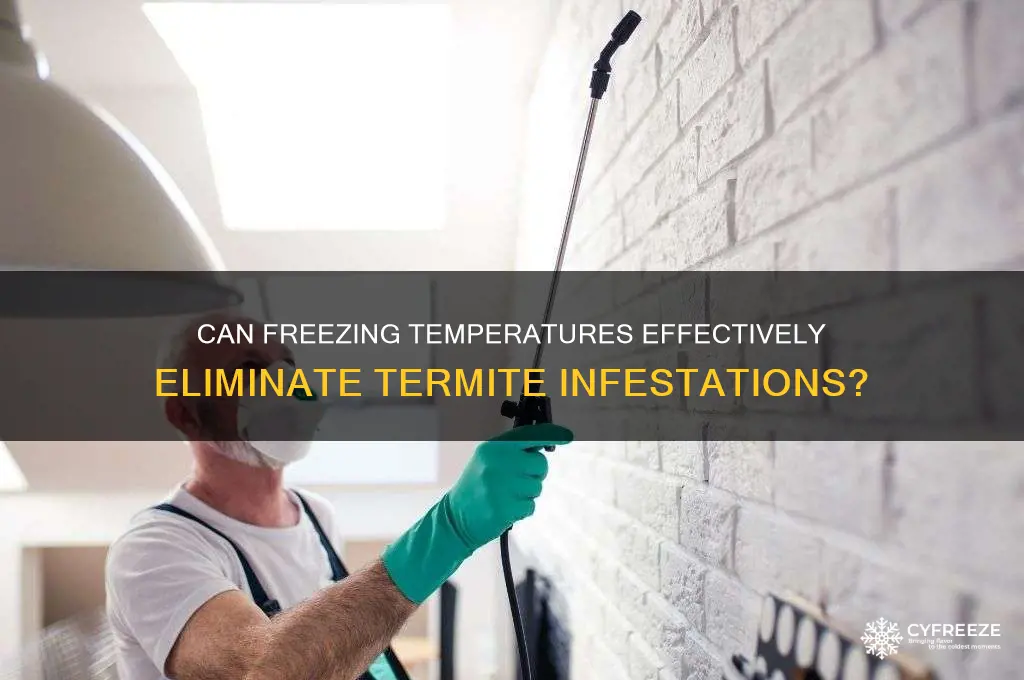 do freezing temperatures kill termites
