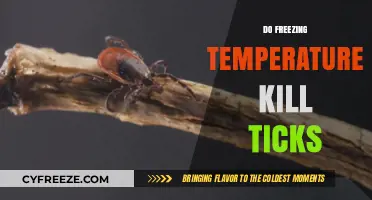 Can Freezing Temperatures Eliminate Ticks? Understanding Cold Weather Impact