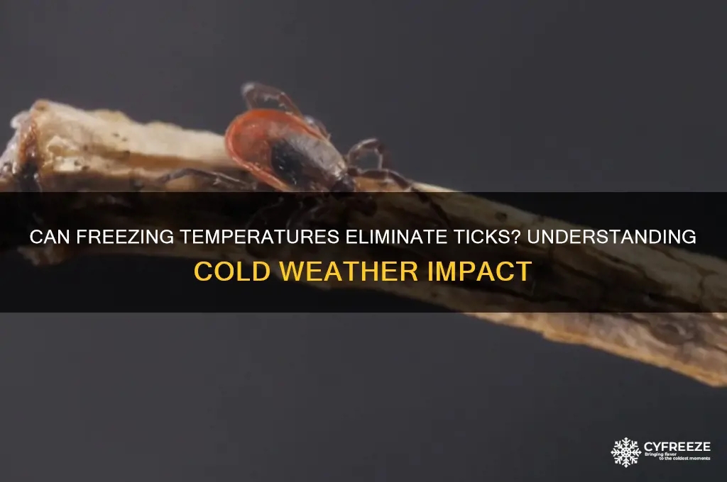 do freezing temperatures kill ticks