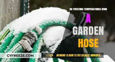 Can Freezing Temperatures Destroy Your Garden Hose? Essential Winter Tips