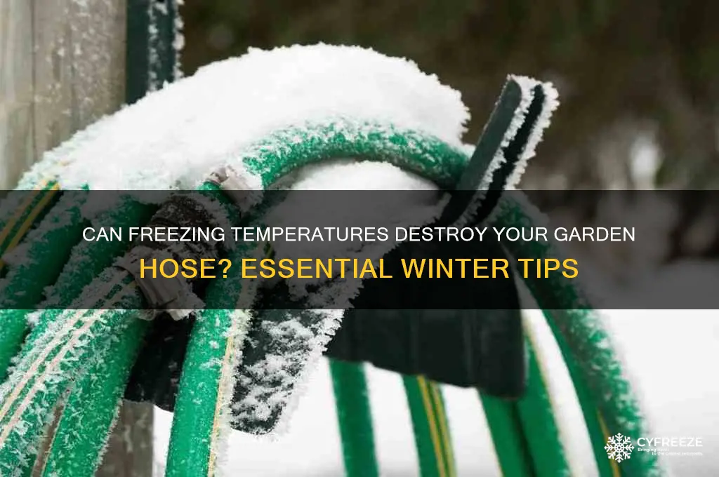 do freezing temperatures ruin a garden hose