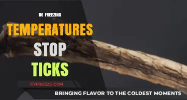Can Freezing Temperatures Halt Tick Activity? Uncovering the Truth
