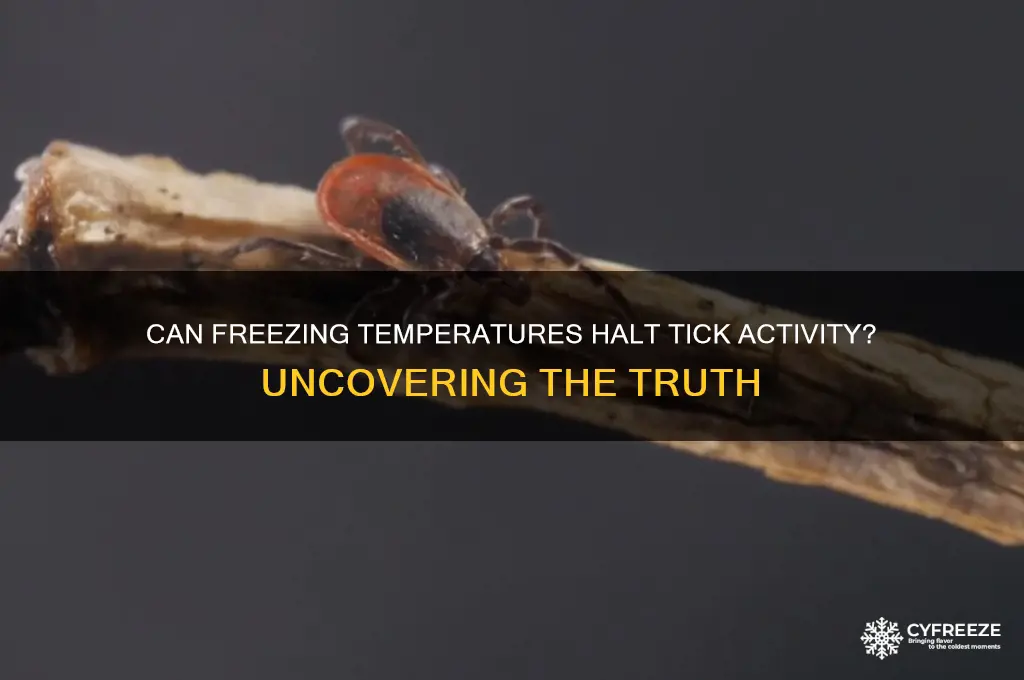 do freezing temperatures stop ticks