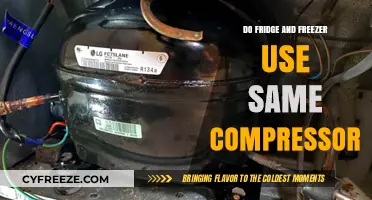 Exploring the Mechanics: Do Fridges and Freezers Share a Compressor?