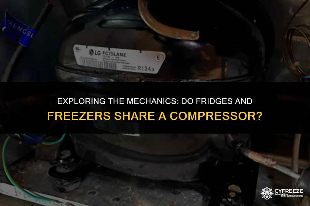 do fridge and freezer use same compressor