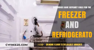 Exploring the Dual Coil System in Modern Refrigerators and Freezers