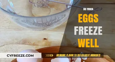 Can Fried Eggs Be Frozen? Tips for Preserving Your Breakfast Favorite