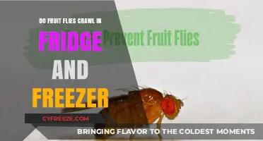 Chilling Truth: Do Fruit Flies Invade Your Fridge and Freezer?