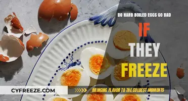 Can Hard-Boiled Eggs Survive the Freezer? Spoilage Explained