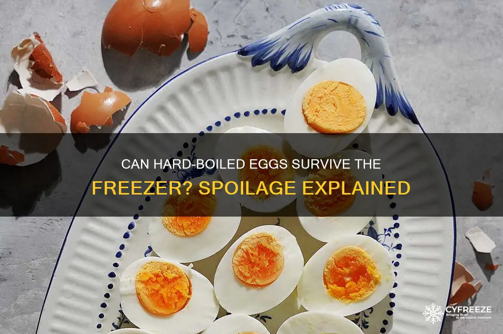 do hard boiled eggs go bad if they freeze
