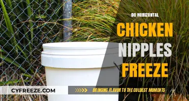 Chill or Not: The Truth About Horizontal Chicken Nipples Freezing