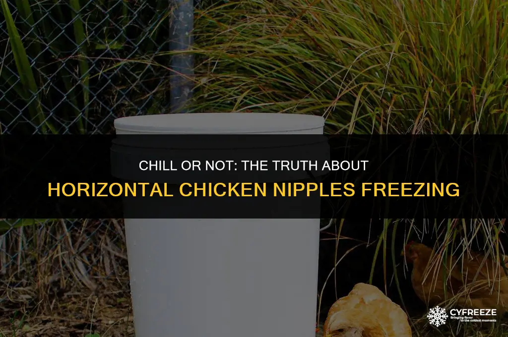 do horizontal chicken nipples freeze