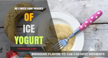 Giant Pouches of Ice Yogurt: To Freeze or Not to Freeze?