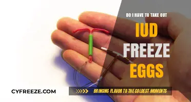 IUD vs. Egg Freezing: Which Fertility Option Fits Your Future?