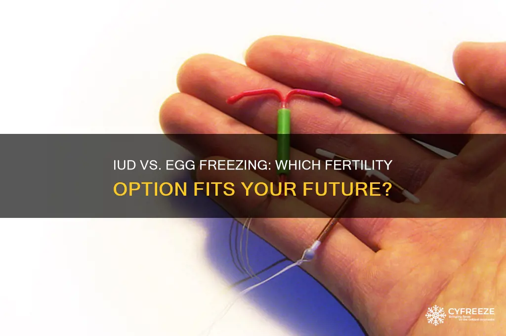 do i have to take out iud freeze eggs