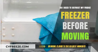 Defrosting Dilemma: Prepping Your Fridge Freezer for a Move