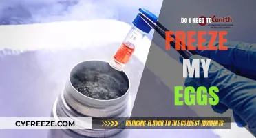 Should You Freeze Your Eggs? A Guide to Fertility Preservation