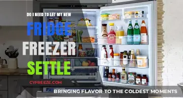 New Fridge Freezer: Settling In or Ready to Go?
