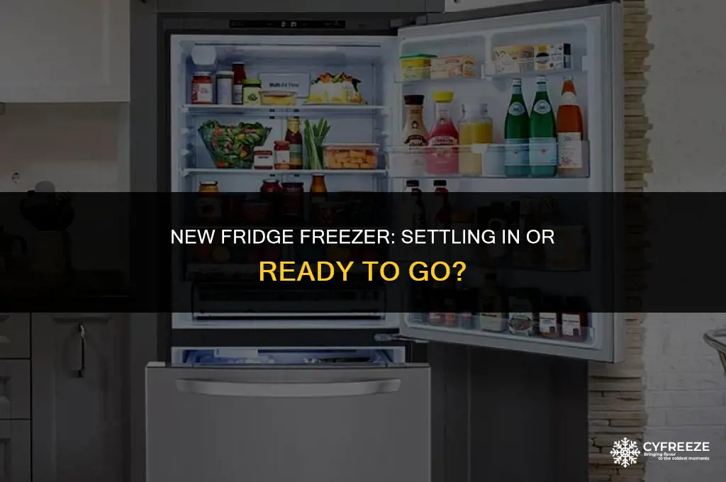 do i need to let my new fridge freezer settle