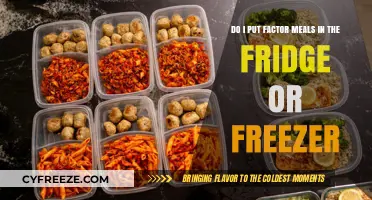Factor Meal Storage: Refrigerator or Freezer?