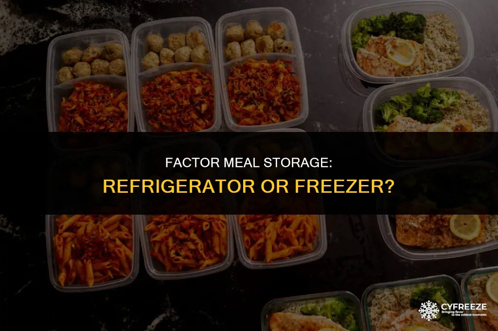 do i put factor meals in the fridge or freezer