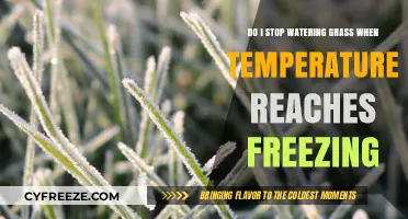 Should You Stop Watering Grass When Temperatures Reach Freezing?
