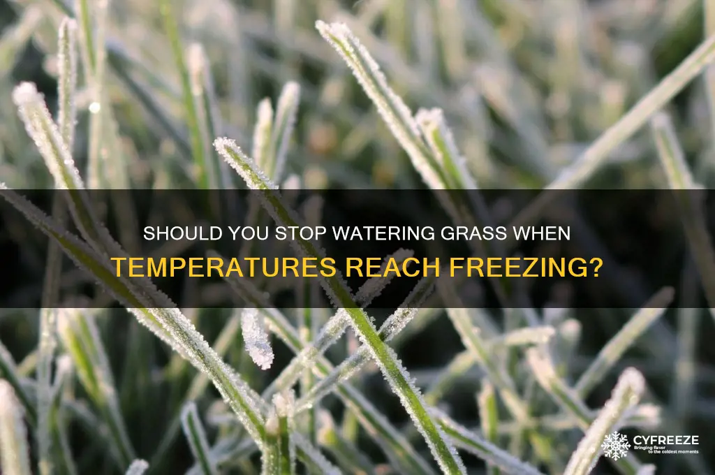 do i stop watering grass when temperature reaches freezing