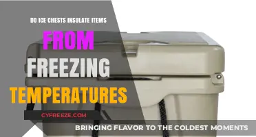 Do Ice Chests Protect Items from Freezing Temperatures? Find Out