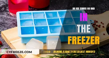 The Surprising Truth About Ice Cubes and Freezer Shelf Life