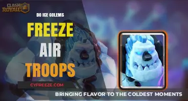 Chilling Strategies: Unleashing Ice Golems on Airborne Adversaries