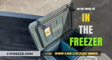 Chill or Freeze: The Ultimate Guide to Ice Pack Storage