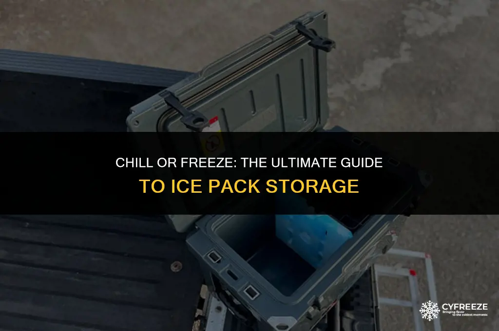 do ice packs go in the freezer