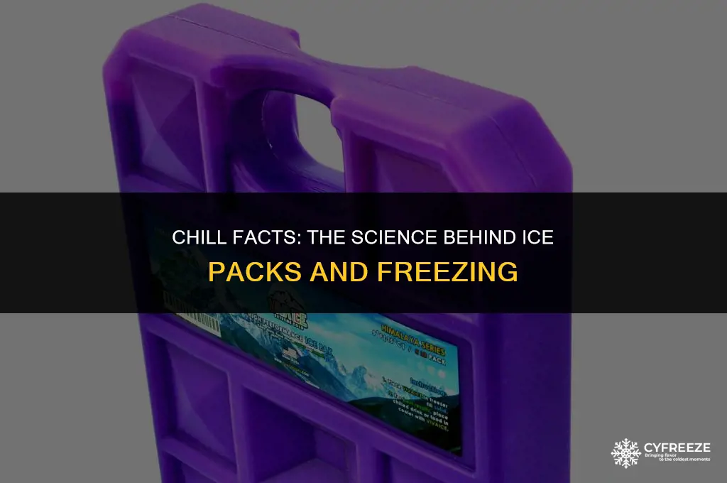 do ice packs stop freezing