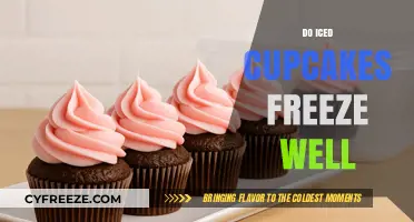 Sweet Success: The Ultimate Guide to Freezing Iced Cupcakes